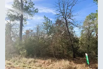 106 Olomana Court, Bastrop, TX 78602 - Photo 6