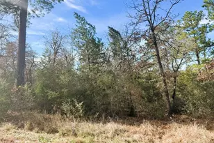 106 Olomana Ct, Bastrop, TX 78602 - Photo 1