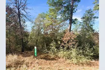 106 Olomana Court, Bastrop, TX 78602 - Photo 4