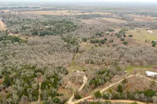 191 Clydesdale Dr, Dale, TX 78616 - Photo 30