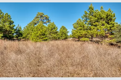 000 Dunbar Rd (Tract 3) Road, McDade, TX 78650 - Photo 8