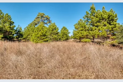 000 Dunbar Rd (Tract 3) Road, McDade, TX 78650 - Photo 8