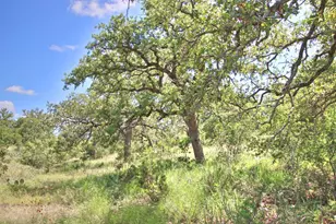 Tbd Cr 110 Rd, Burnet, TX 78611 - Photo 34