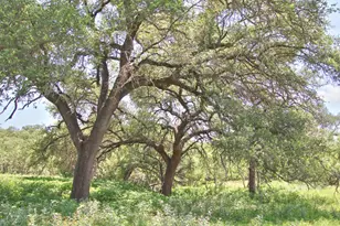 Tbd Cr 110 Rd, Burnet, TX 78611 - Photo 30