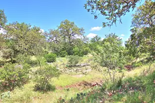 Tbd Cr 110 Rd, Burnet, TX 78611 - Photo 38