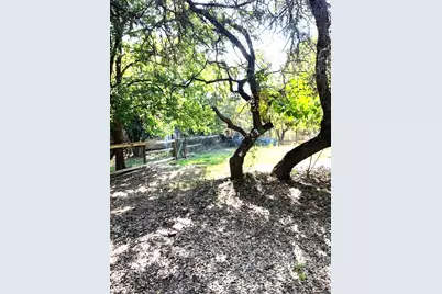 7607 Williamson Creek Drive Drive, Austin, TX 78736 - Photo 10