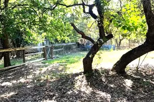 7607 Williamson Creek Dr Dr, Austin, TX 78736 - Photo 10