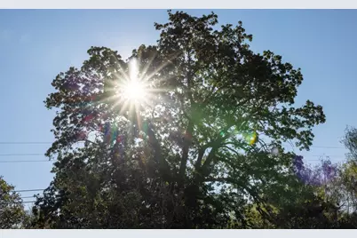 100 Westwood Road, Lockhart, TX 78644 - Photo 6