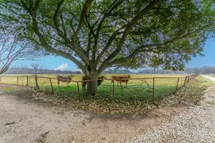 2792 Wilson Valley Rd, Little River Academy, TX 76554 - Photo 22