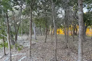 209 Legacy Rdg, Canyon Lake, TX 78133 - Photo 1