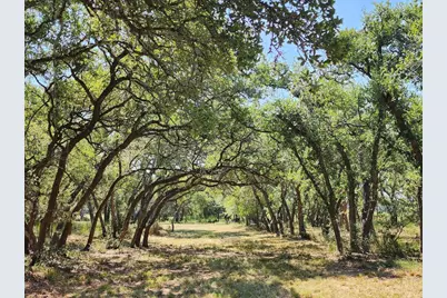 2450 E Creek Cove, Dripping Springs, TX 78620 - Photo 4