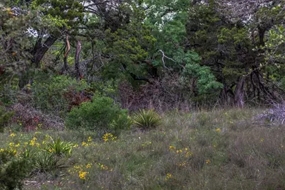 18333 Hidden Ridge Place, Lago Vista, TX 78645 - Photo 38