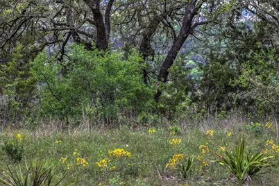 18333 Hidden Ridge Place, Lago Vista, TX 78645 - Photo 16