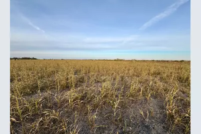 366 County Road 123, Buckholts, TX 76518 - Photo 2