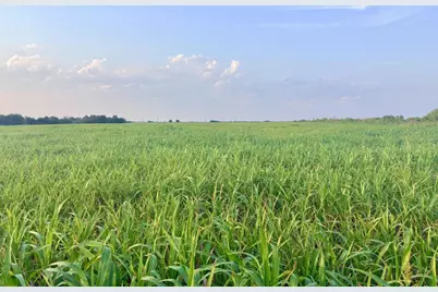 366 County Road 123, Buckholts, TX 76518 - Photo 2