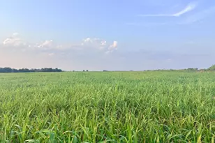 366 Co Rd 123, Buckholts, TX 76518 - Photo 2