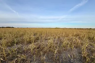 366 Co Rd 123, Buckholts, TX 76518 - Photo 2