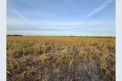 366 County Road 123, Buckholts, TX 76518 - Photo 2