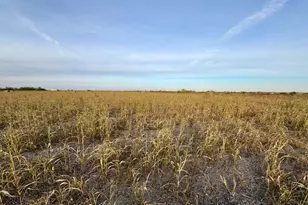 366 Co Rd 123, Buckholts, TX 76518 - Photo 2