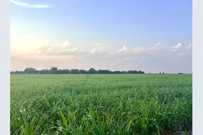 366 County Road 123, Buckholts, TX 76518 - Photo 6