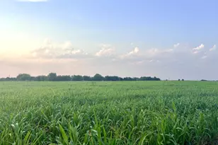 366 Co Rd 123, Buckholts, TX 76518 - Photo 6