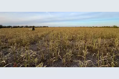 366 County Road 123, Buckholts, TX 76518 - Photo 1