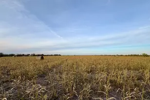 366 Co Rd 123, Buckholts, TX 76518 - Photo 1