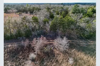 Lot 8 South Old Potato Road, Paige, TX 78659 - Photo 10