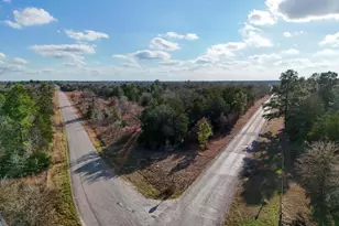 Lot 8 South Old Potato Rd, Paige, TX 78659 - Photo 1
