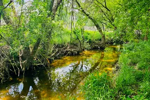 5107 Leralynn St, Austin, TX 78751 - Photo 12