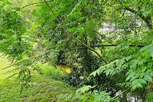 5107 Leralynn St, Austin, TX 78751 - Photo 26