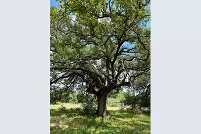 731 Santa Maria Road, Salado, TX 76571 - Photo 2