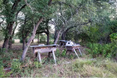 7275 Creek Road, Dripping Springs, TX 78620 - Photo 16