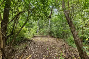 3412 Shinoak Dr, Austin, TX 78731 - Photo 40