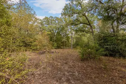 120 Twin Oaks Road, Elgin, TX 78621 - Photo 4