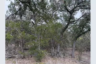 1656 Noble Trail, Canyon Lake, TX 78133 - Photo 14
