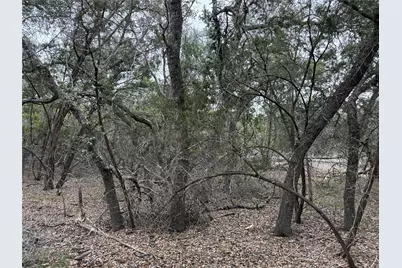 1656 Noble Trail, Canyon Lake, TX 78133 - Photo 12