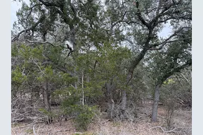 1656 Noble Trail, Canyon Lake, TX 78133 - Photo 14