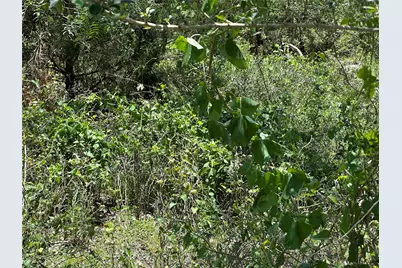 Tract 3D Hwy 95 Highway, Smithville, TX 78957 - Photo 22