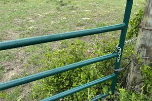 Tract 3D Hwy 95 Hwy, Smithville, TX 78957 - Photo 2