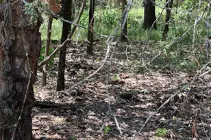 Tract 3D Hwy 95 Hwy, Smithville, TX 78957 - Photo 14