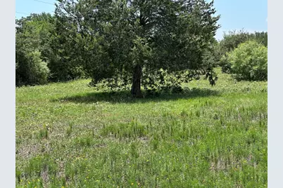 Tract 3D Hwy 95 Highway, Smithville, TX 78957 - Photo 6