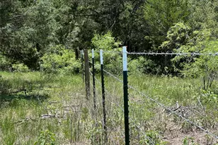 Tract 3D Hwy 95 Hwy, Smithville, TX 78957 - Photo 16