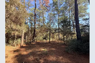 Lot 59 S. Hill Ridge Road, Bastrop, TX 78602 - Photo 10