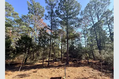 Lot 59 S. Hill Ridge Road, Bastrop, TX 78602 - Photo 2