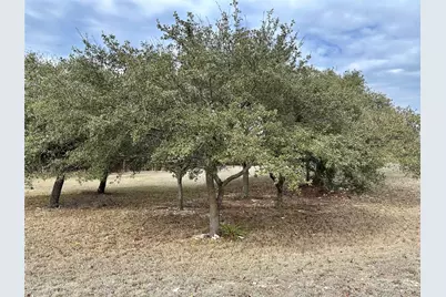 Lot 24 Andy's Point, Burnet, TX 78611 - Photo 8