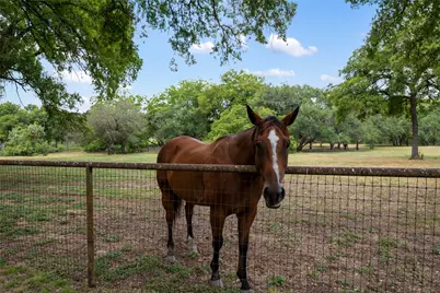 121 Dog Run, Burnet, TX 78611 - Photo 8