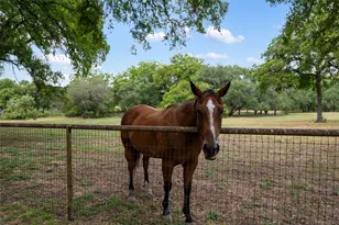 121 Dog Run, Burnet, TX 78611 - Photo 8
