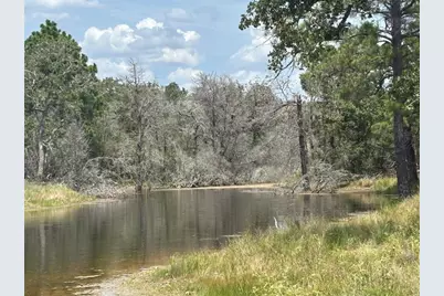 2250 Old Lockhart Road, Plum, TX 78952 - Photo 6