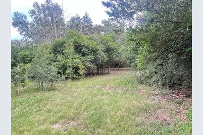 117 Caddo, Smithville, TX 78957 - Photo 4